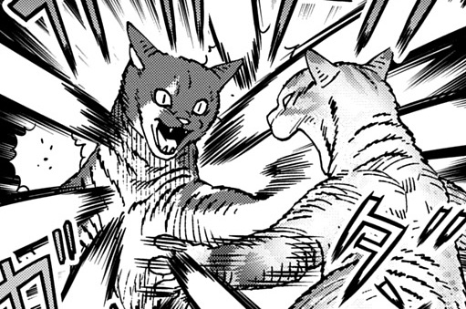 第27話「“猫”がいる森」