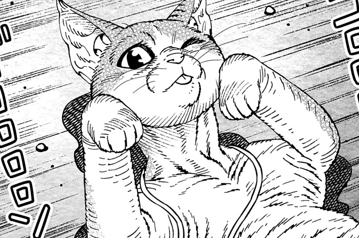 第28話「残猫」