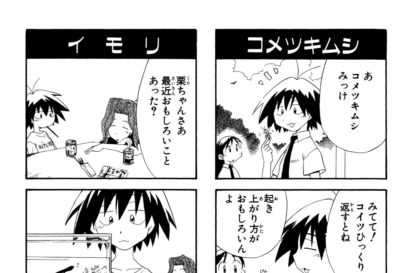 スケッチブック 小箱とたん [1-14巻 漫画全巻セット/完結]