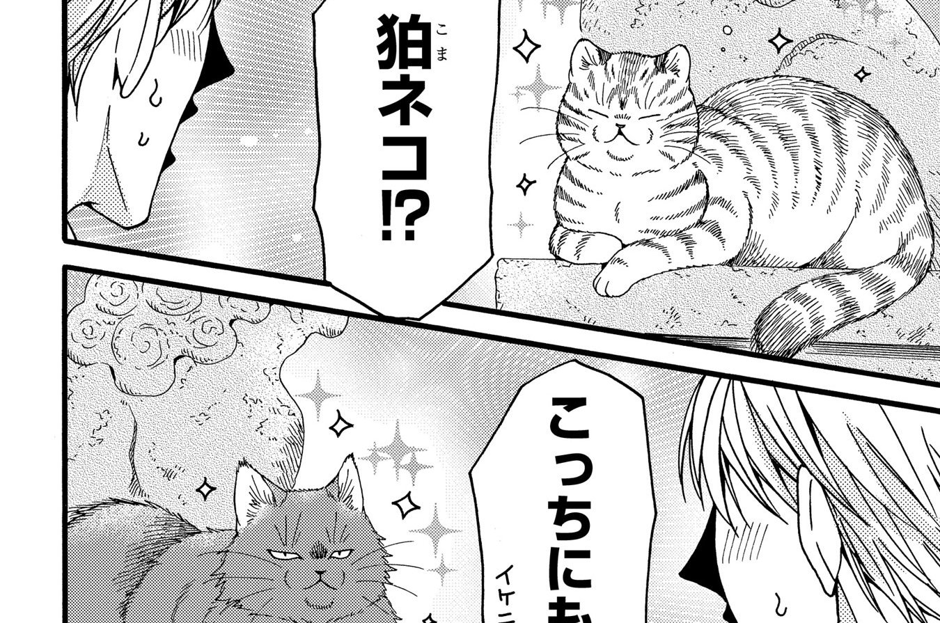 第29話「ヒミツの？ ふくふく猫神社」