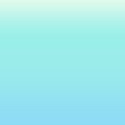 浜園わもめ